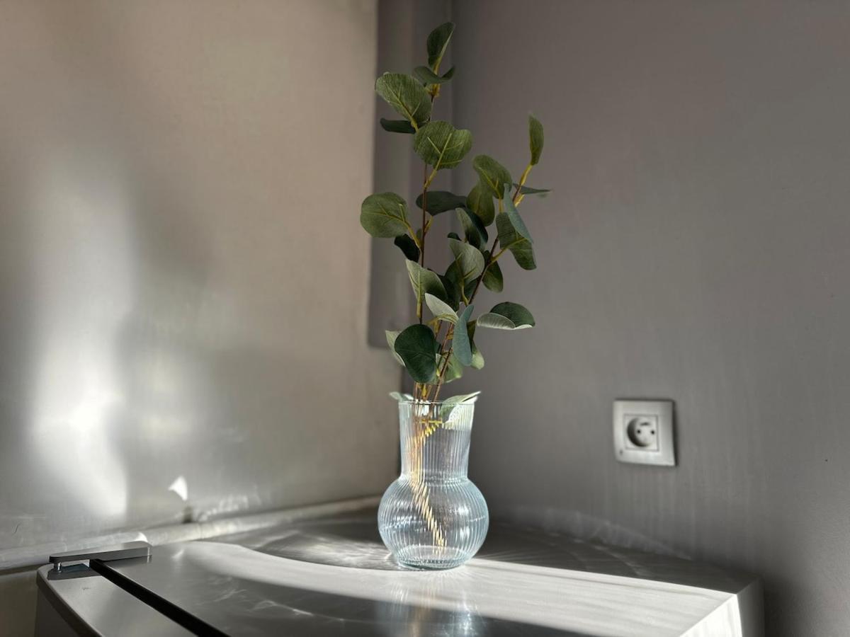 - Sea View And Coeur De Appartement Toulon